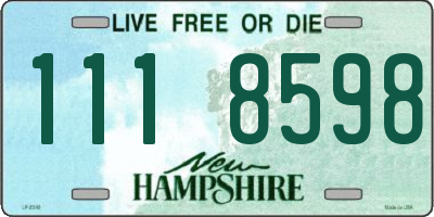 NH license plate 1118598