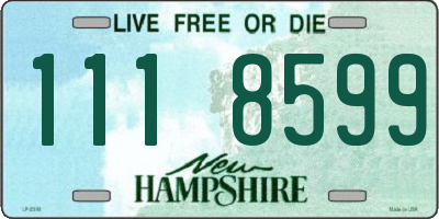 NH license plate 1118599