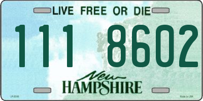 NH license plate 1118602