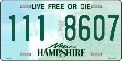 NH license plate 1118607
