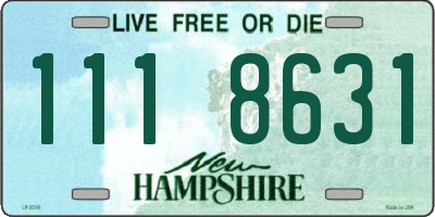 NH license plate 1118631