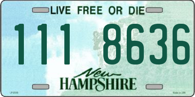 NH license plate 1118636