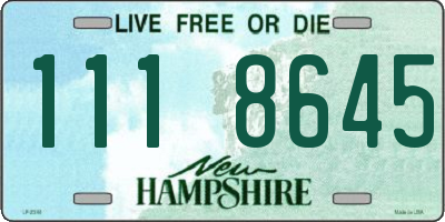 NH license plate 1118645