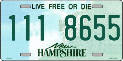 NH license plate 1118655