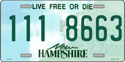 NH license plate 1118663