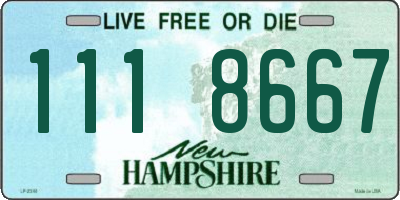 NH license plate 1118667