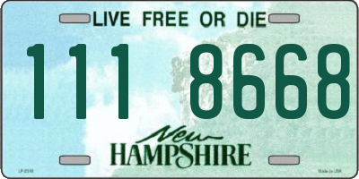 NH license plate 1118668