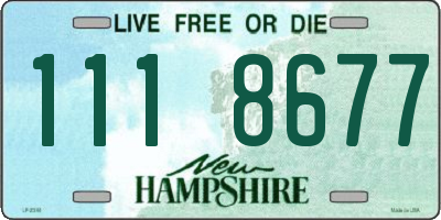 NH license plate 1118677