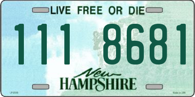 NH license plate 1118681