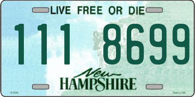 NH license plate 1118699