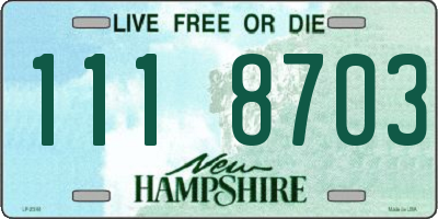 NH license plate 1118703
