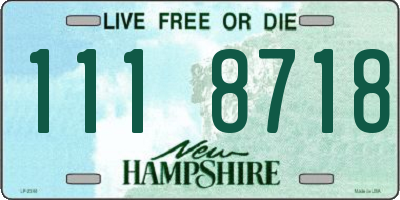 NH license plate 1118718
