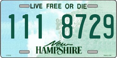 NH license plate 1118729