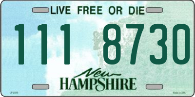 NH license plate 1118730