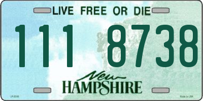 NH license plate 1118738