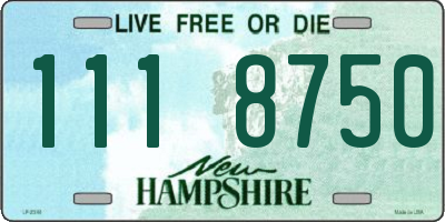 NH license plate 1118750