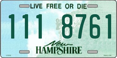 NH license plate 1118761