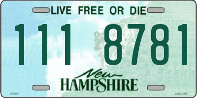 NH license plate 1118781