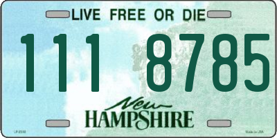 NH license plate 1118785