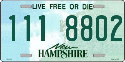 NH license plate 1118802