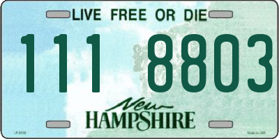 NH license plate 1118803