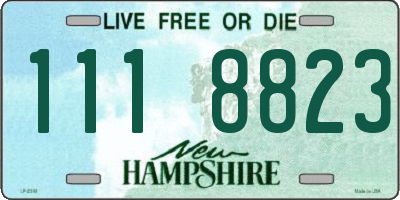 NH license plate 1118823