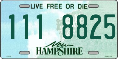 NH license plate 1118825