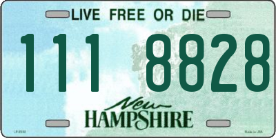 NH license plate 1118828