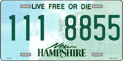 NH license plate 1118855