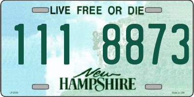 NH license plate 1118873