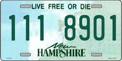 NH license plate 1118901