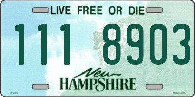NH license plate 1118903