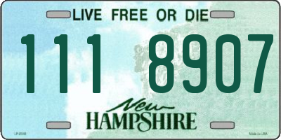 NH license plate 1118907