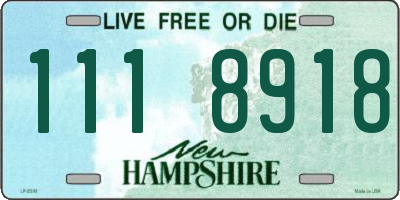 NH license plate 1118918