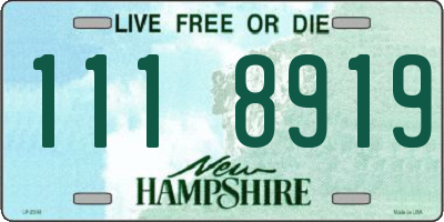 NH license plate 1118919