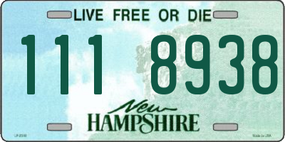 NH license plate 1118938