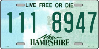 NH license plate 1118947