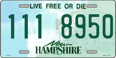 NH license plate 1118950