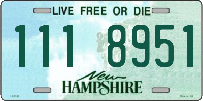 NH license plate 1118951