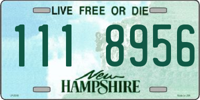 NH license plate 1118956