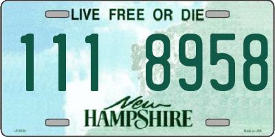 NH license plate 1118958