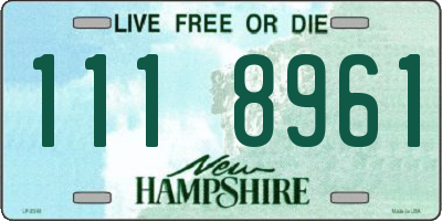 NH license plate 1118961