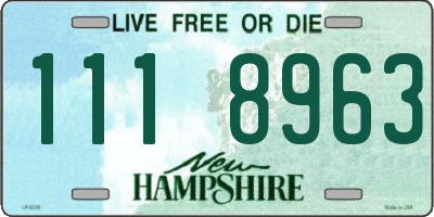 NH license plate 1118963