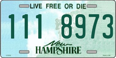 NH license plate 1118973