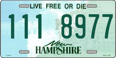 NH license plate 1118977