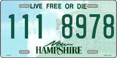 NH license plate 1118978