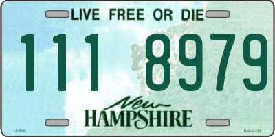 NH license plate 1118979