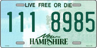 NH license plate 1118985