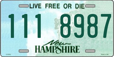 NH license plate 1118987