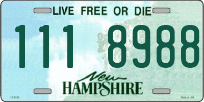 NH license plate 1118988